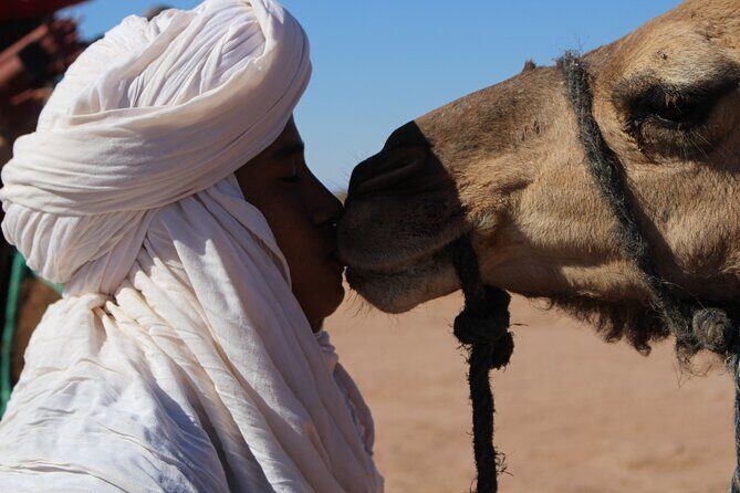 5-day trek - In the Draa Valley - Authentic Experiences and Highlights