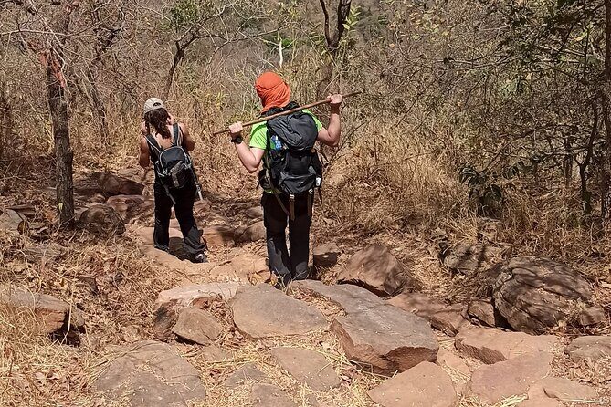 5-Day Trekking in Kédougou from Dakar - Who Should Consider This Tour?