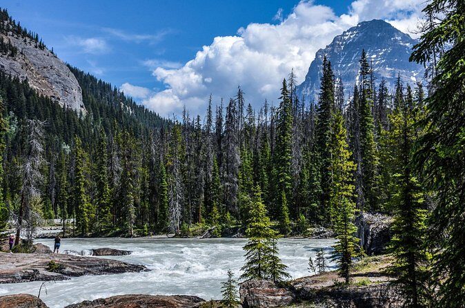 5 day Vancouver Group Tour with Transportation - The Sum Up: Who Will Love This Tour?