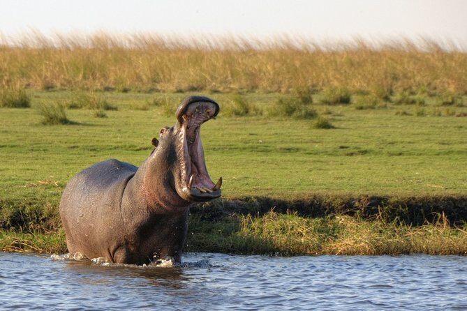 5-DAY Victoria Falls and Chobe National Park - Key Points