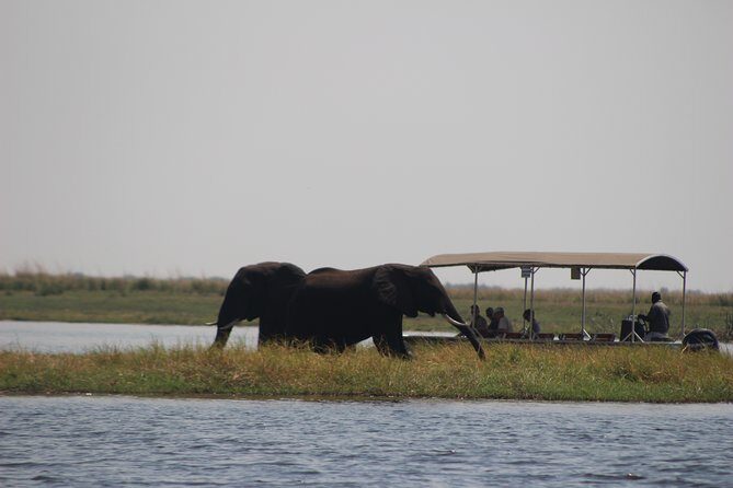 5-DAY Victoria Falls and Chobe National Park - Who Is This Tour Best For?