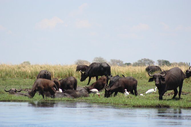 5-DAY Victoria Falls and Chobe National Park - Frequently Asked Questions