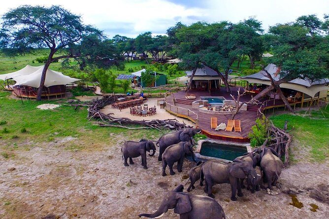 5 Day Victoria Falls and Hwange National Park Accommodated Safari Tour - An In-Depth Look at the Experience