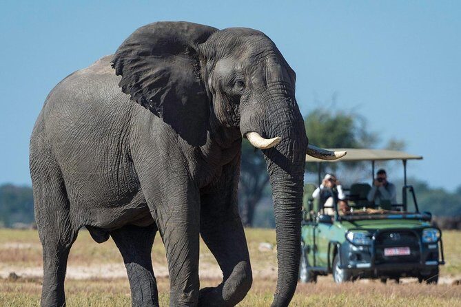 5 Day Victoria Falls and Hwange National Park Accommodated Safari Tour - Who Should Book This Tour?