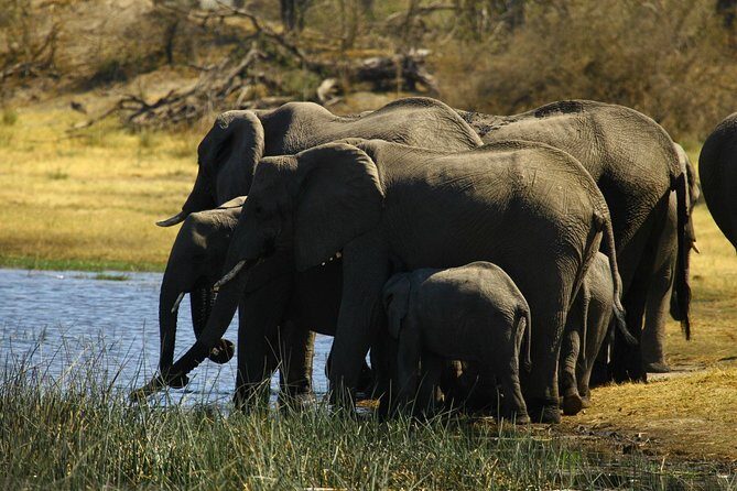 5 Day Victoria Falls and Hwange National Park Accommodated Safari Tour - The Sum Up