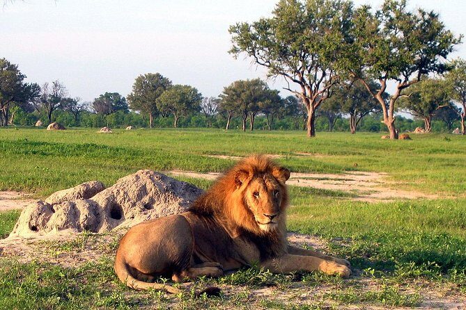 5 Day Victoria Falls and Hwange National Park Accommodated Safari Tour - FAQ