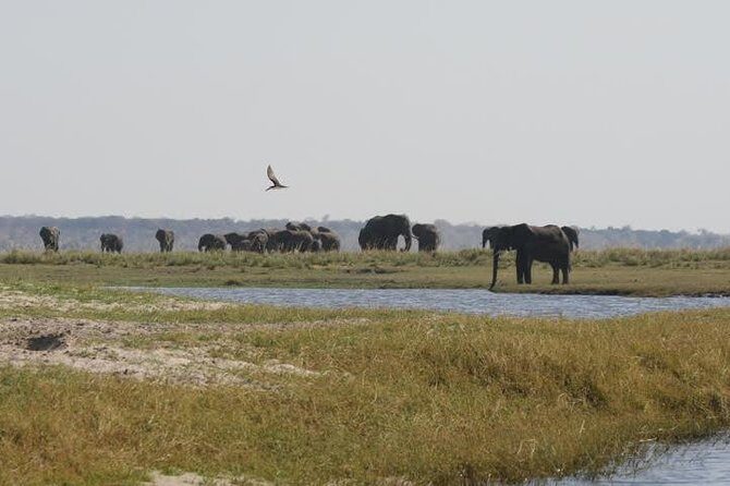 5 Day Victoria Falls and Hwange National Park Accommodated Tour Safari - Overview of the Tour Experience