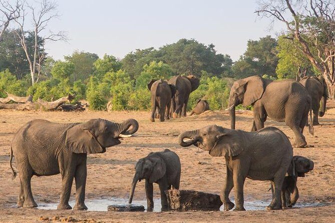 5 Day Victoria Falls and Hwange National Park Accommodated Tour Safari - Day 2: Victoria Falls and Optional Adventures