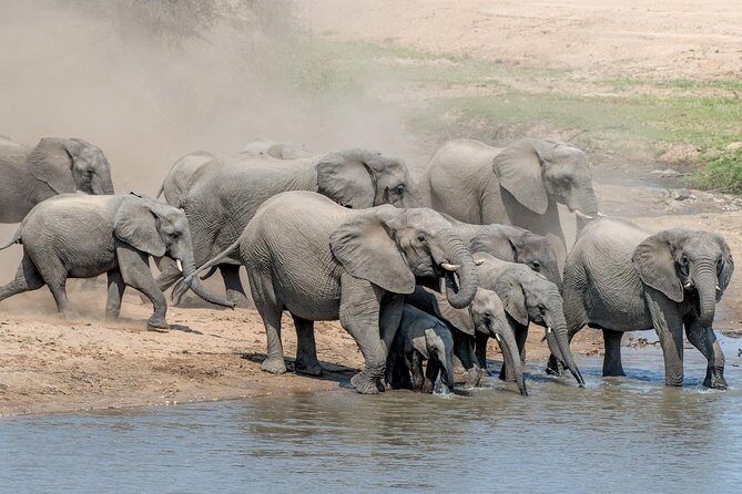 5 Day Wildlife Photographic Safari - Kruger National Park - B1 Photo Safaris - Practical Tips for Travelers