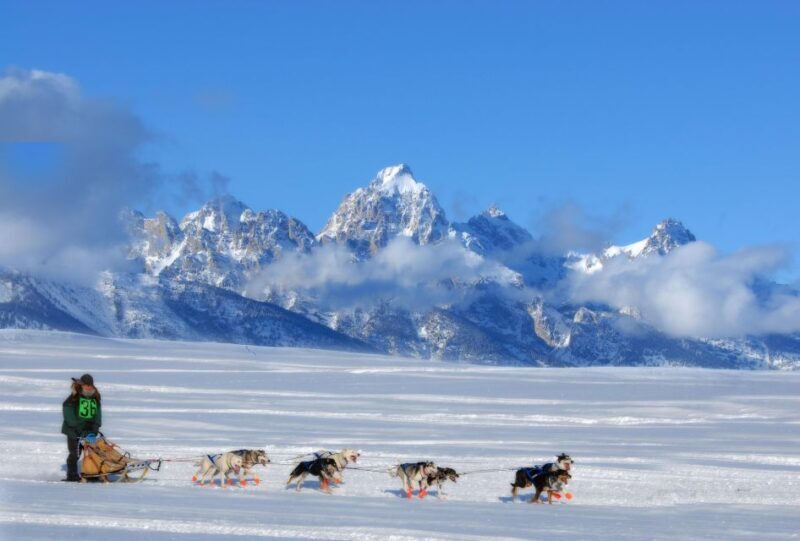 5-Day Winter Yellowstone Wildlife Tour - Final Thoughts