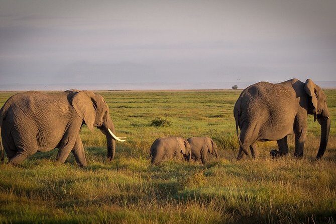 5 Days/4 Nights Kenya Safari - Who Is This Tour Best For?