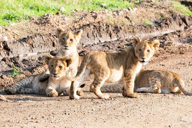 5 Days/4 Nights Kenya Safari - FAQ