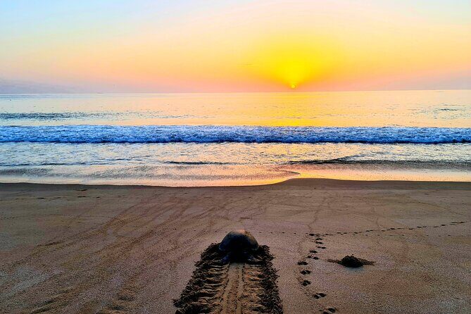 5 Days 4 Nights Oman Package Tour Mohammed - Practical Details and Considerations