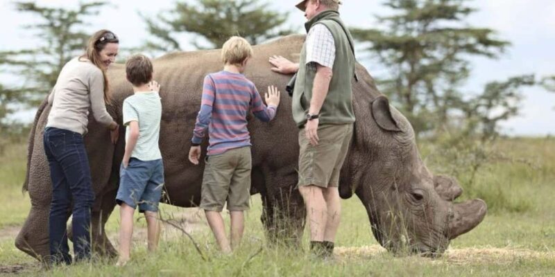 5-Days 4 Nights Safari to Samburu & Ol pejeta Conservancy - Day 4: Full-Day Game Drive in Ol Pejeta