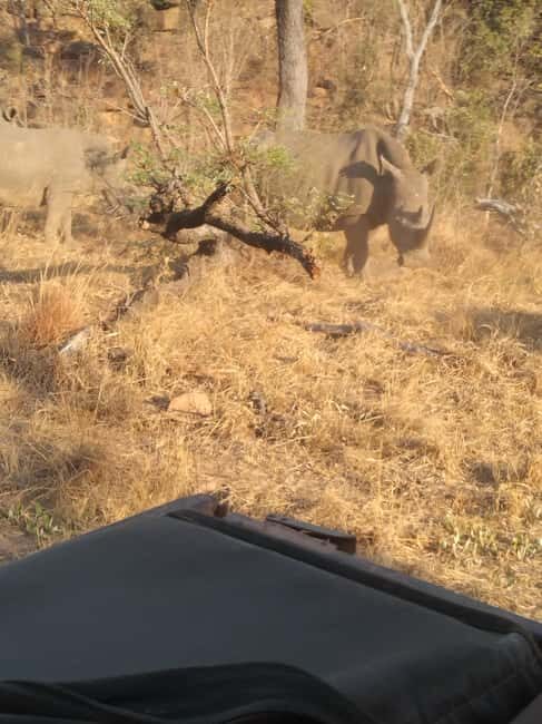 5 Days 4 Nights Safari Tour In Madikwe And Pilanersbeg - FAQ