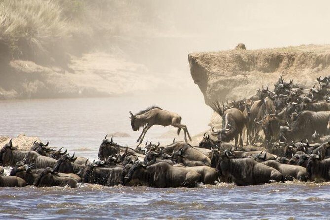 5 Days 4 Nights Tarangire, Serengeti , Ngorongoro & Manyara Wildlife Safari - Analyzing the Itinerary: What to Expect Each Day