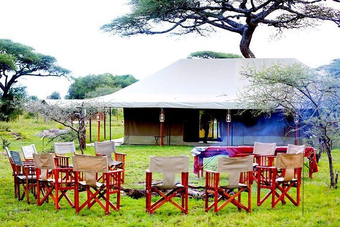 5 Days 4 Nights Tarangire, Serengeti , Ngorongoro & Manyara Wildlife Safari - Final Words