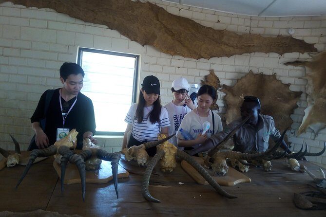 5 Days Adventurous Wildlife Safari - A Deep Dive into Your 5-Day Ghana Safari Adventure