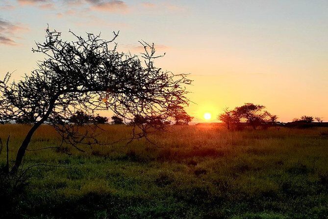 5 Days African Safaris - FAQs