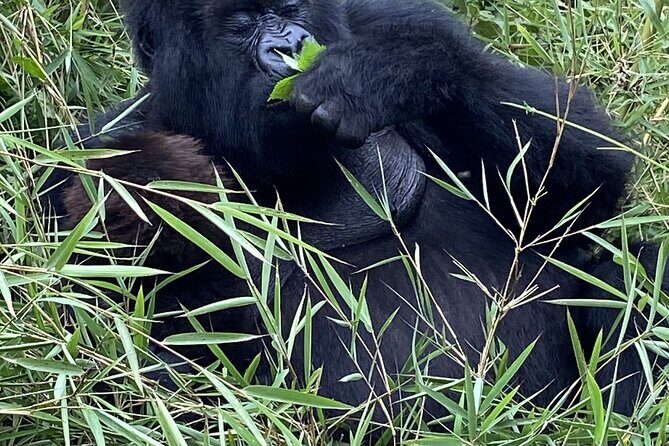 5 Days Akagera and Volcanoes National Park - Final Thoughts