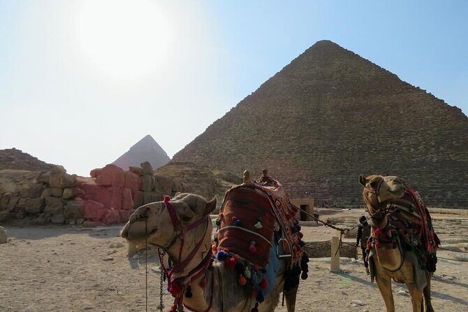 5 days Alexandria , Giza , Cairo & Luxor by plane - The Transportation, Logistics, and Value