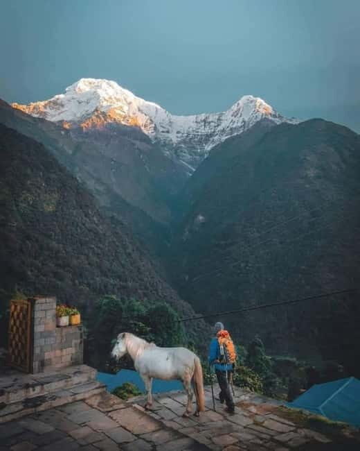 5 Days Annapurna Base Camp Trek - Introducing the Experience