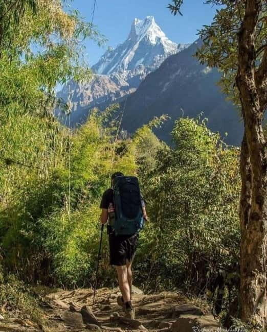 5 Days Annapurna Base Camp Trek - Who This Trek Is Perfect For