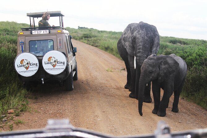 5 Days Best of Tanzania Luxury Safari Northern Circuit - Who Is This Tour Best For?