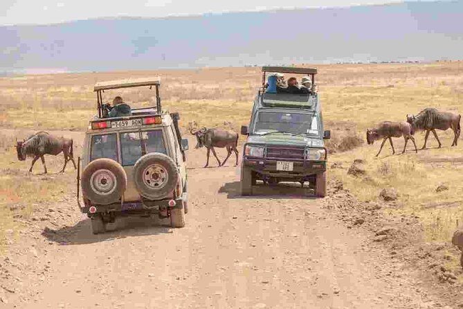 5 Days - Best Of Tanzania Northern Zone, Lodge Safari - What Makes This Safari Stand Out?