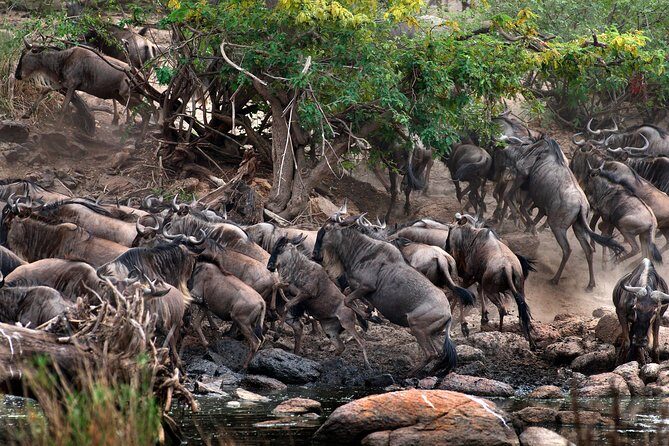 5 Days - Best Of Tanzania Northern Zone, Lodge Safari - Frequently Asked Questions