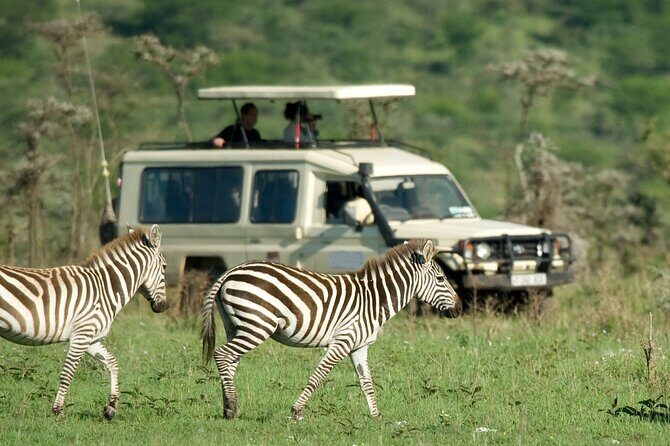 5 Days Budget Safari in Tanzania - An In-depth Look at the Itinerary