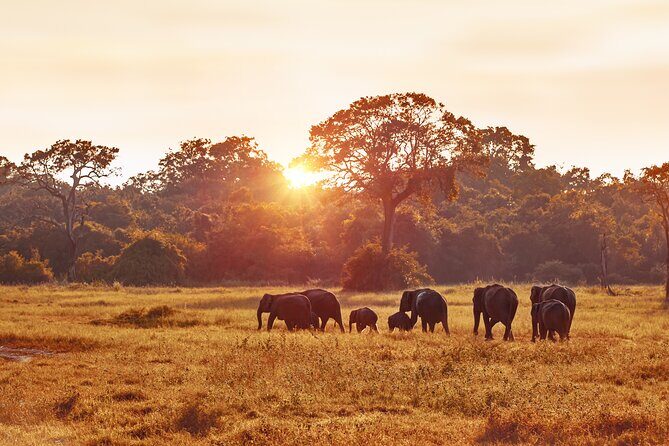 5 Days Budget Safari in Tanzania - Final Thoughts: Who Should Consider This Tour?