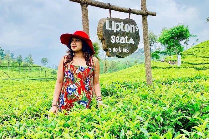 5 DAYS BUDGET TOUR package in Sri Lanka - A Closer Look at the 5-Day Sri Lanka Tour