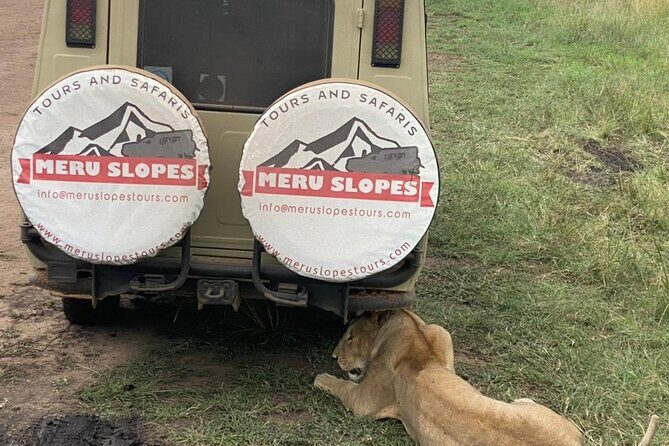 5 Days Camping Tarangire, Serengeti & Ngorongoro crater & Visiting Maasai - Transportation, Accommodation, and Logistics