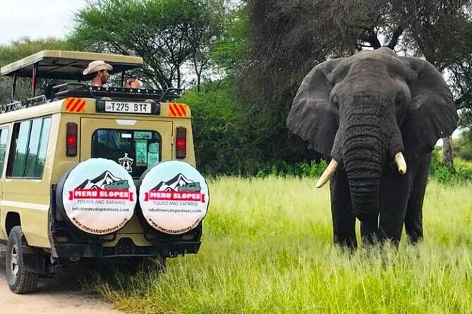 5 Days Camping Tarangire, Serengeti & Ngorongoro crater & Visiting Maasai - FAQ