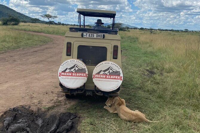 5 Days Camping Tarangire, Serengeti & Ngorongoro crater & Visiting Maasai - In The Sum Up