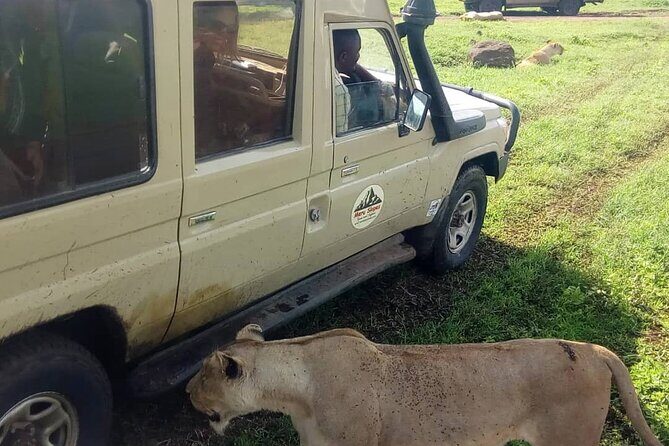 5 Days Camping Tarangire, Serengeti & Ngorongoro crater & Visiting Maasai - Starting in Arusha: The Gateway to Adventure