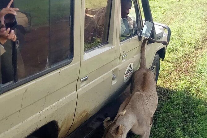 5 Days Camping Tarangire, Serengeti & Ngorongoro crater & Visiting Maasai - Day 2: Into the Heart of the Serengeti