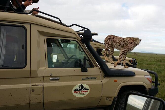 5 Days Camping Tarangire, Serengeti & Ngorongoro crater & Visiting Maasai - The Value of the Tour