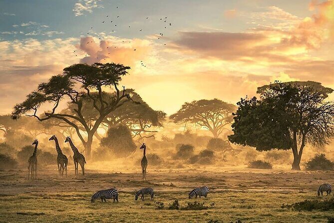 5 Days Camping Tarangire, Serengeti & Ngorongoro crater & Visiting Maasai - Who Will Enjoy This Safari?