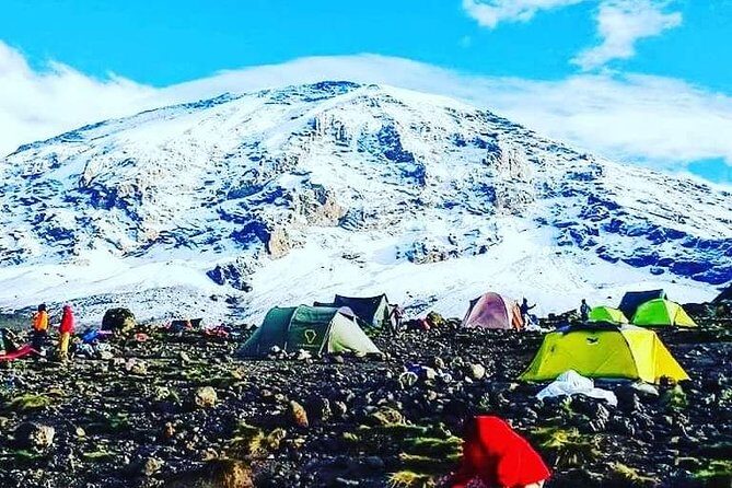 5 Days cheapest Kilimanjaro Marangu Route - What the Reviews Say