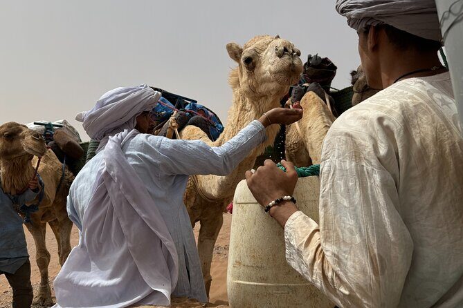 5 Days Desert Trekking from Marrakech - Authentic Experiences and Reviews