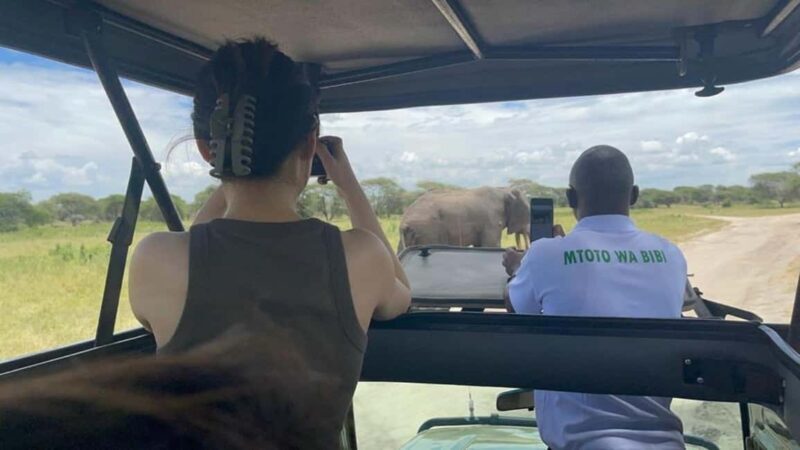 5 Days Enjoy Tarangire, Serengeti, Ngorongoro Safari - An In-Depth Look at the 5-Day Tanzania Safari Experience