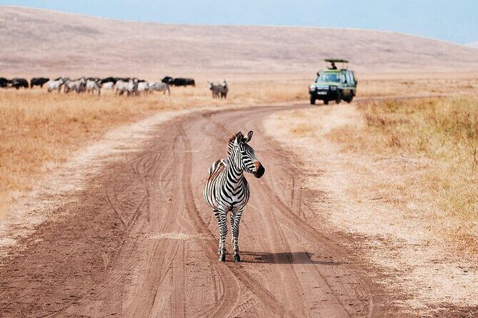 5 Days Exclusive Camping Adventure in Northern Tanzania - Key Points