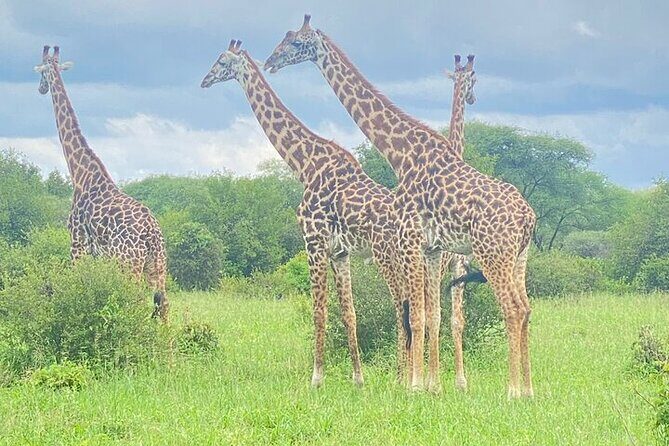 5 Days Exclusive Camping Adventure in Northern Tanzania - The Itinerary in Detail