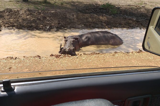 5 Days Explore Selous Game Reserve - The Value of This Safari