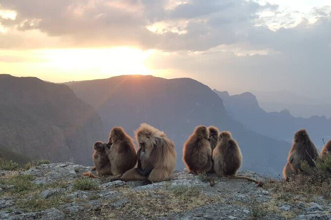 5 days Exploring North Ethiopia's Rich History and Culture - Final Thoughts