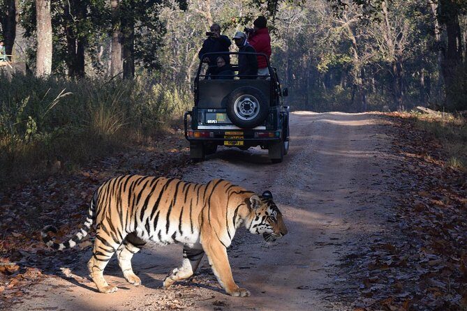 5 Days Golden Triangle with Ranthambore Tiger Safari - The Itinerary: Breaking Down the Experience