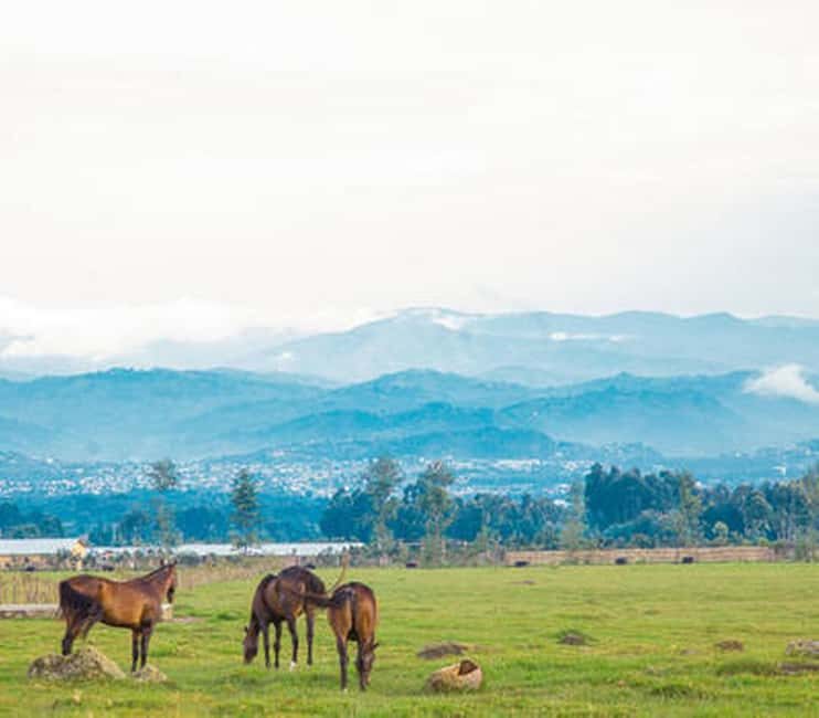 5 Days Gorilla Safari in Rwanda - Why Choose This Tour?