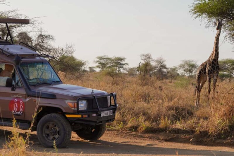 5 Days Group Camping Safari - Key Points